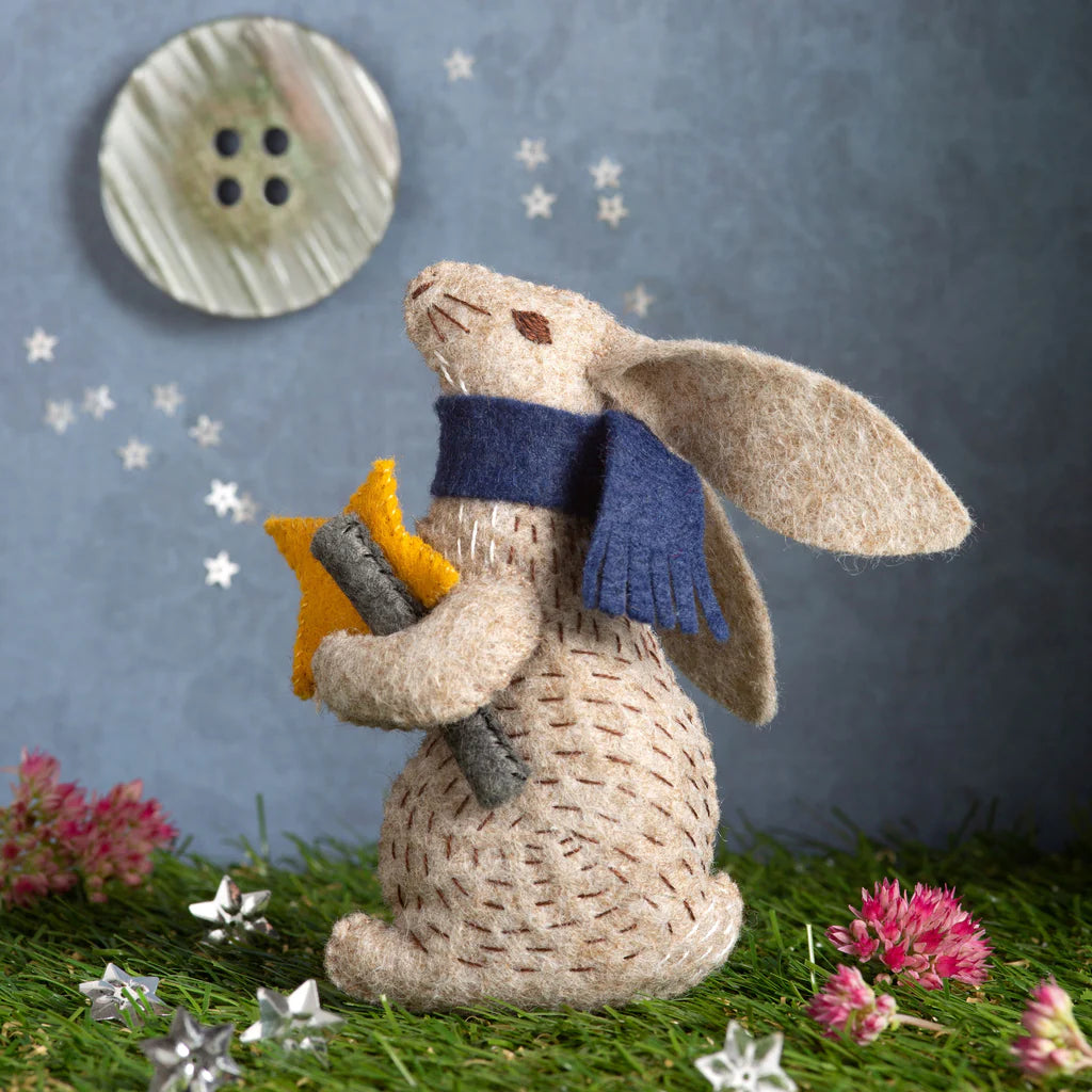Professor Hare Stargazer Mini Kit
