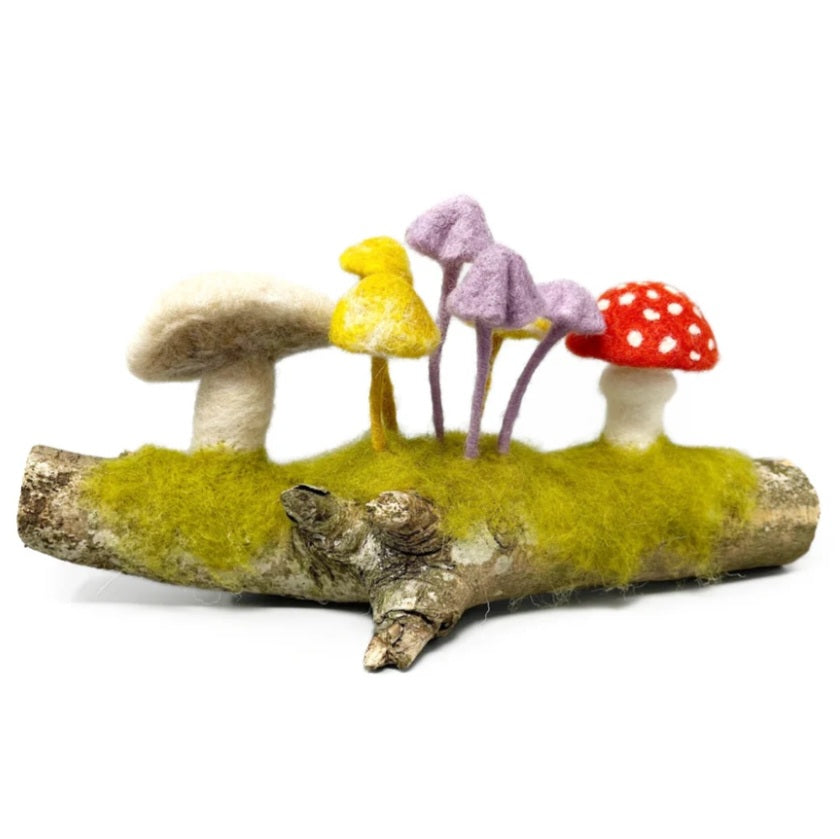 Woodland Toadstools Needle Felting Kit