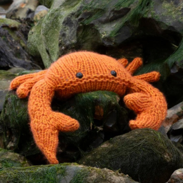 Crab Knitting Kit