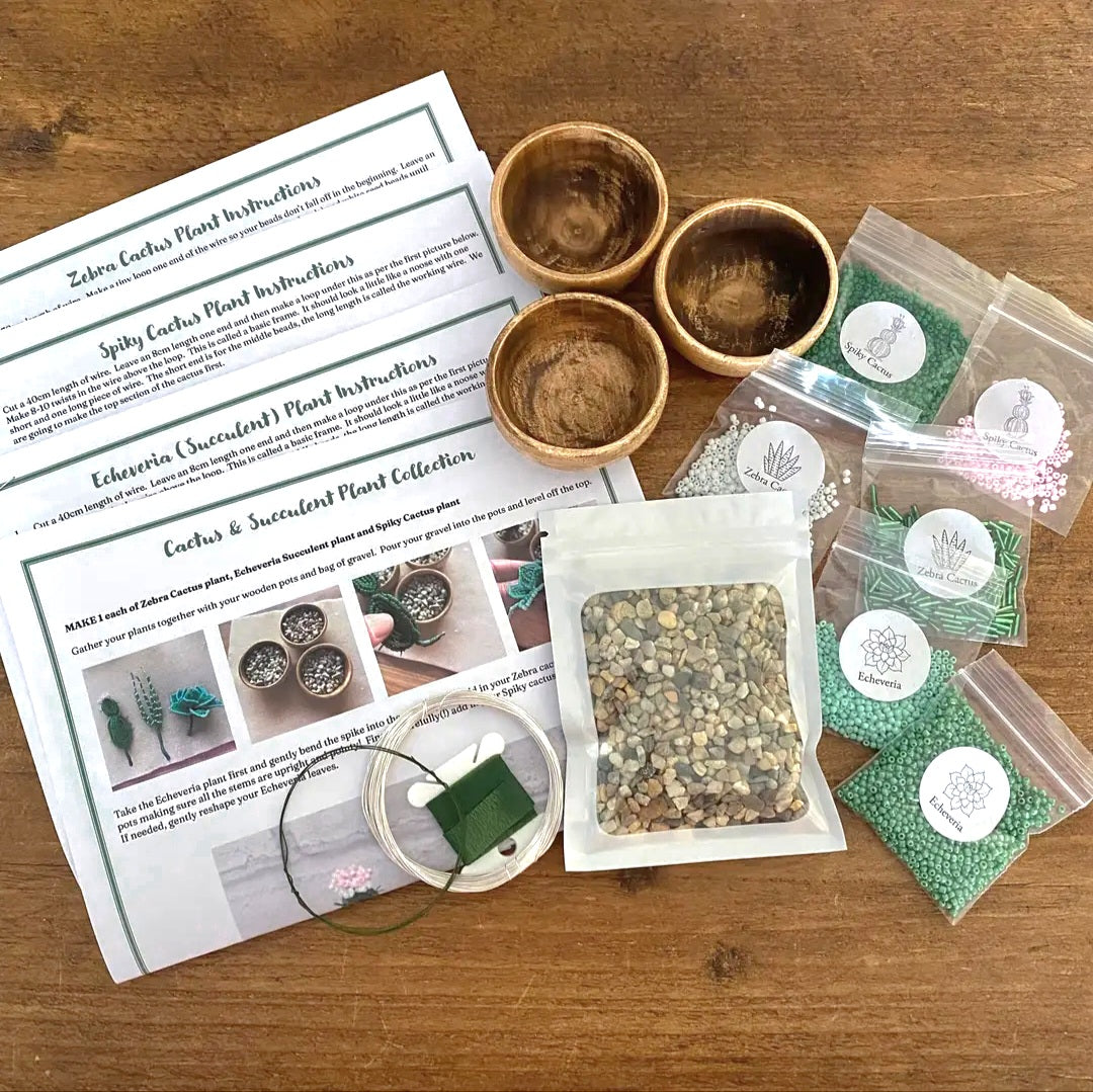 Cactus Collection Beaded Craft Kit