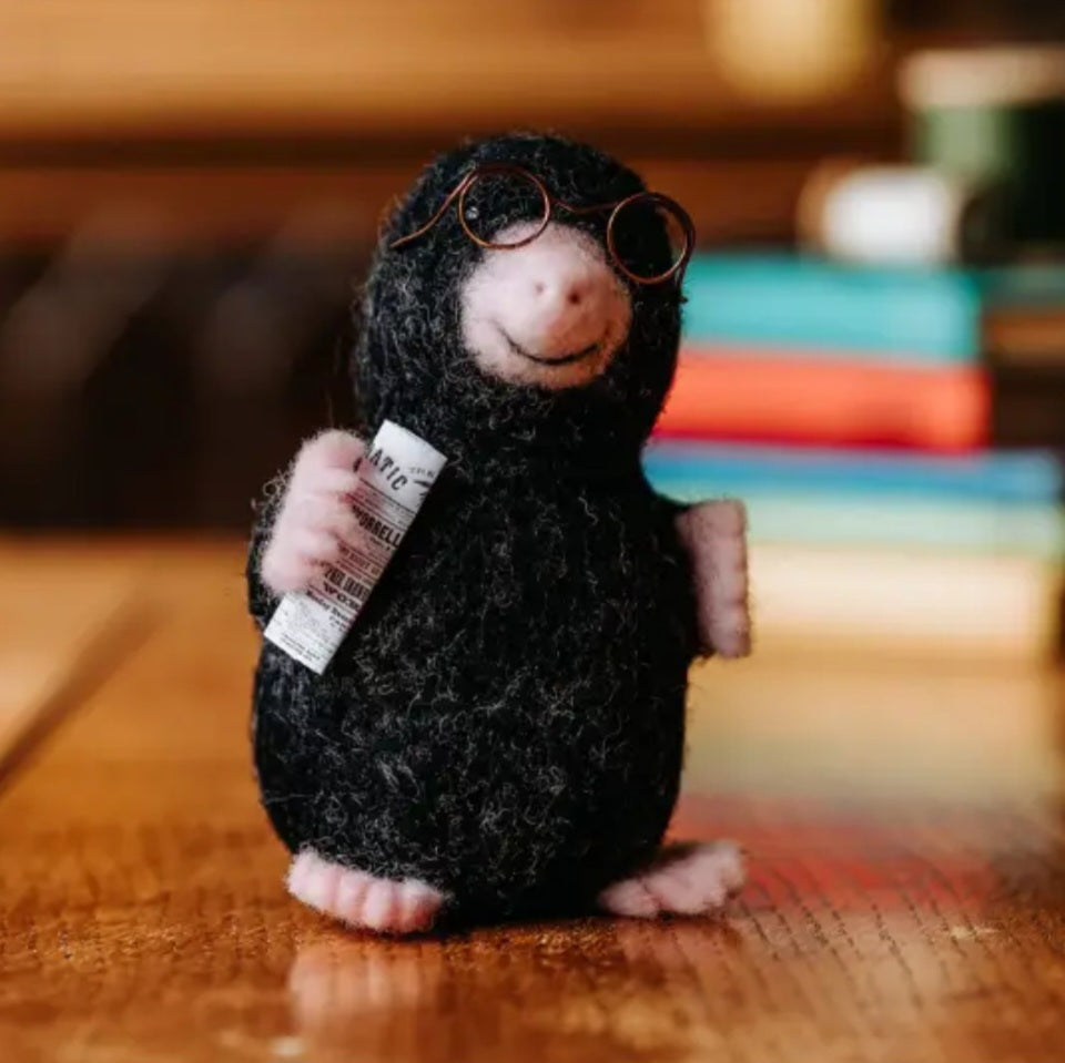 Mister Mole Needle Felting Kit