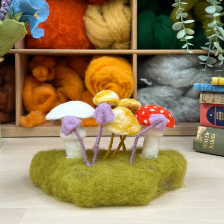 Woodland Toadstools Needle Felting Kit