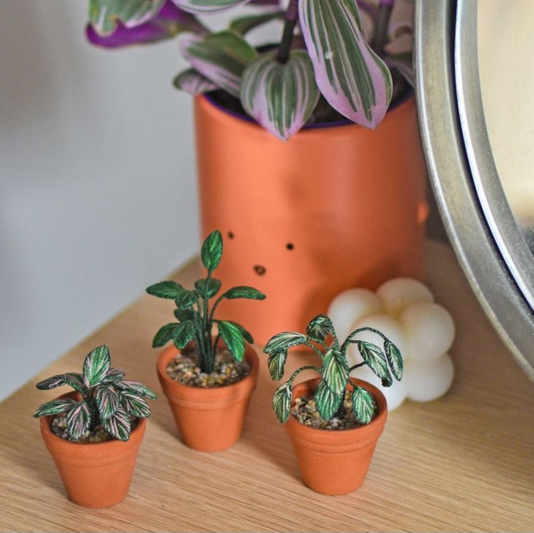 Mini Embroidered Houseplant Kit (3 x Plants)