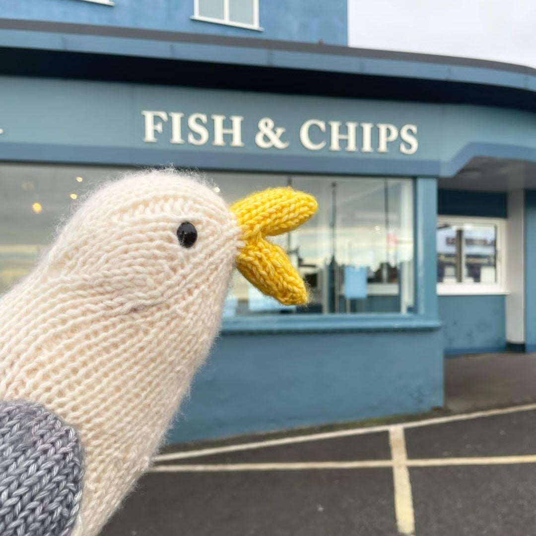 Seagull Knitting Kit