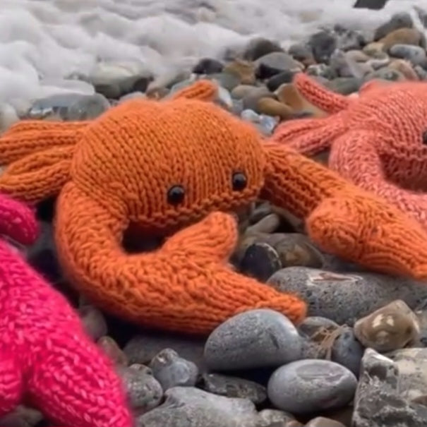 Crab Knitting Kit