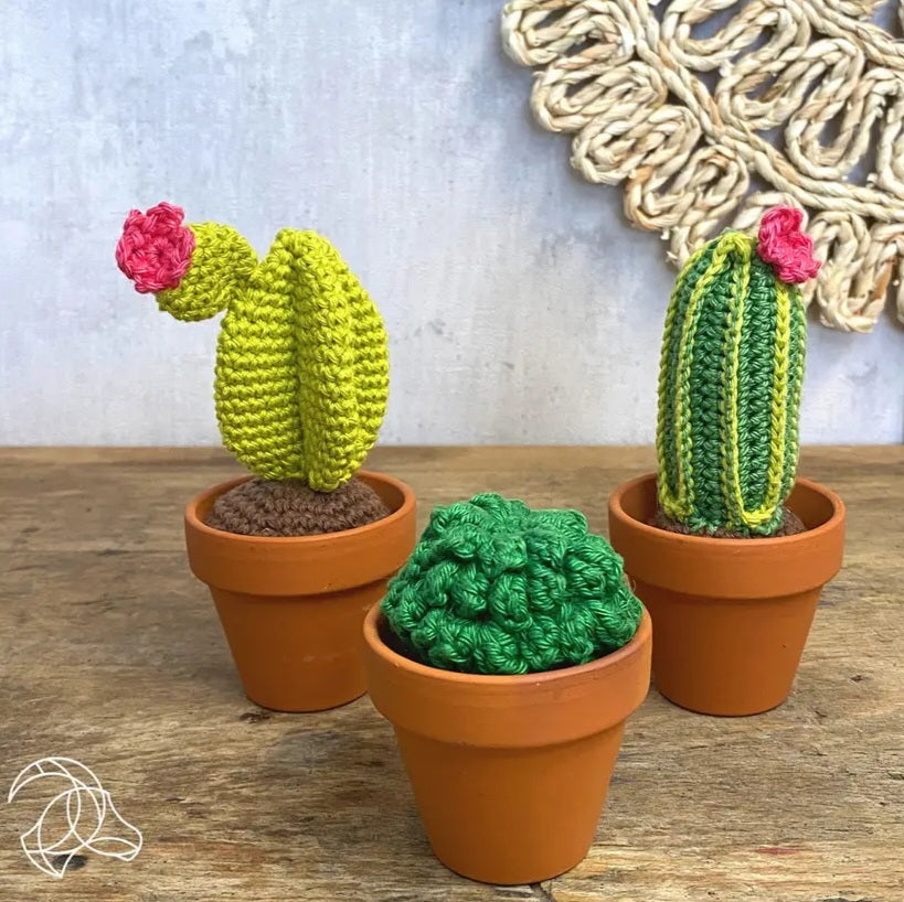 Cacti Crochet Kit