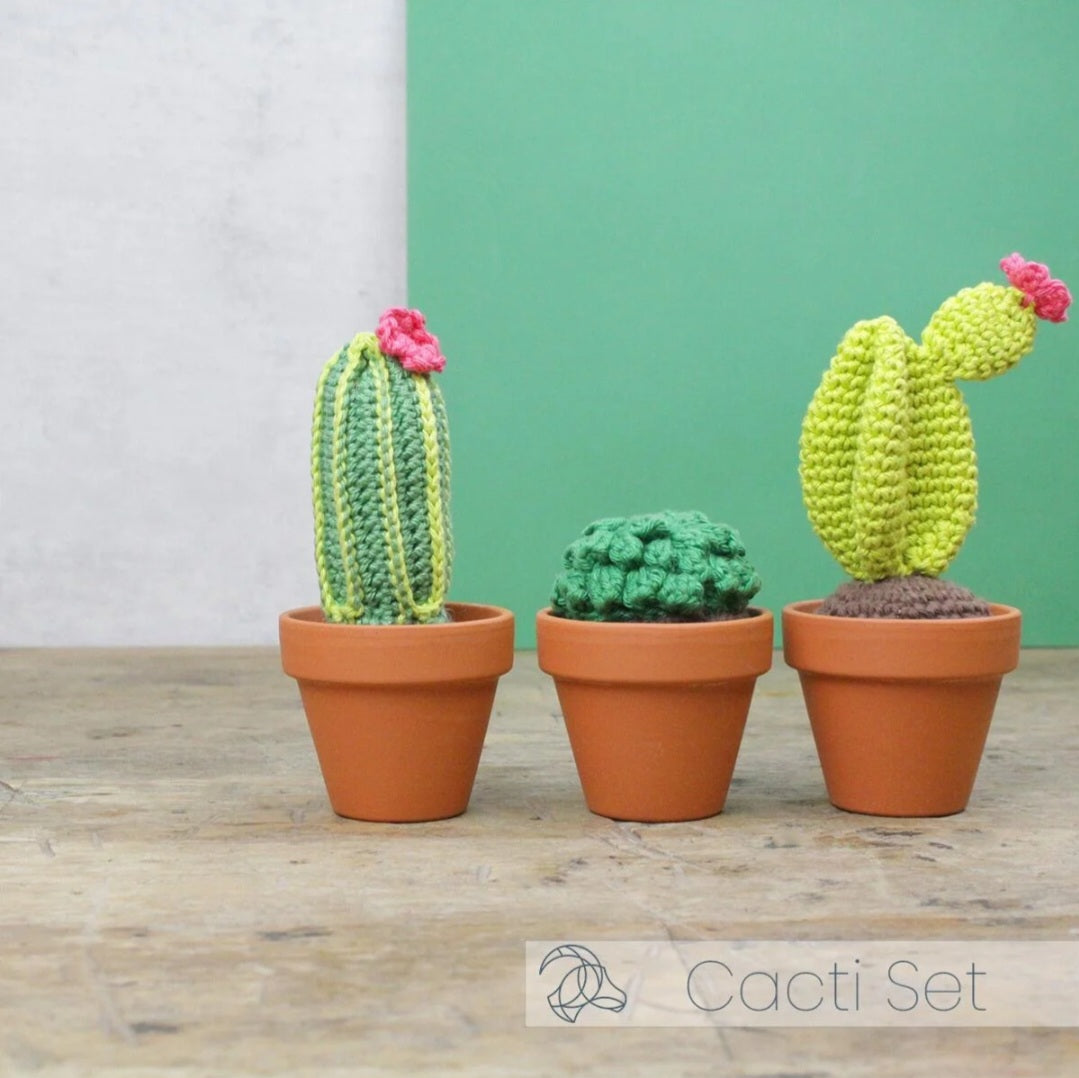 Cacti Crochet Kit