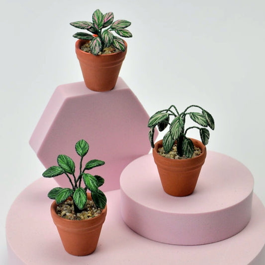 Mini Embroidered Houseplant Kit (3 x Plants)