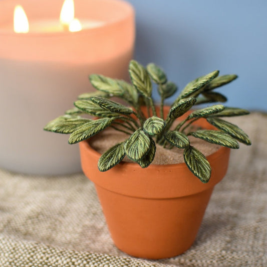 Embroidered Houseplant Kit