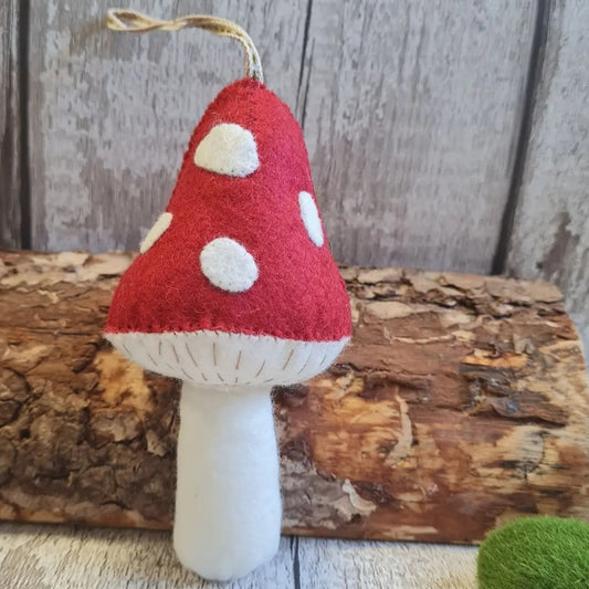 Toadstool Mini Kit