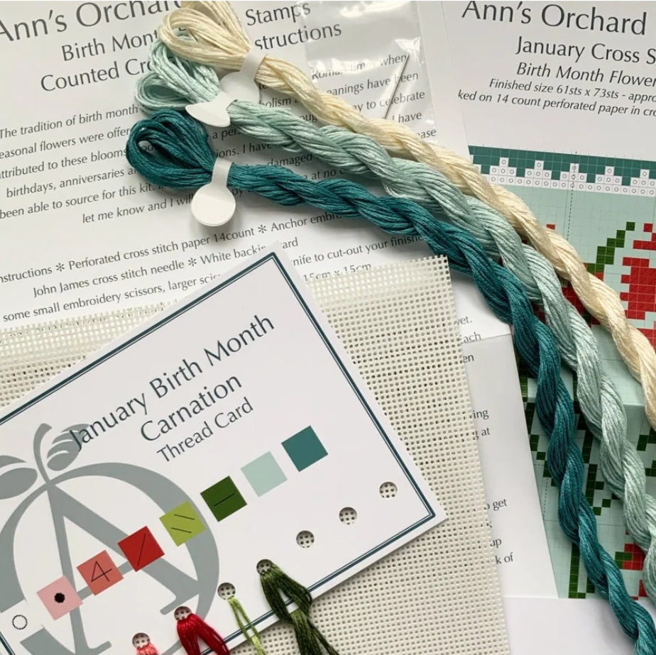 January Birth Month Stamp Cross Stitch Kit