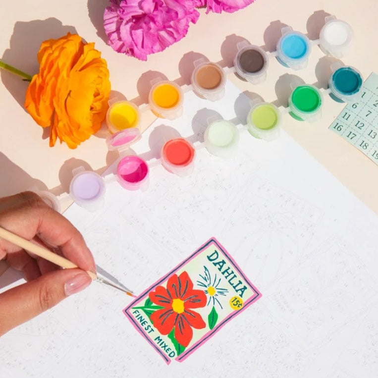 Seed Packets Paint by Numbers Kit