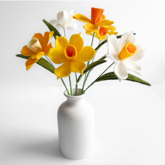 Narcissus Craft Kit